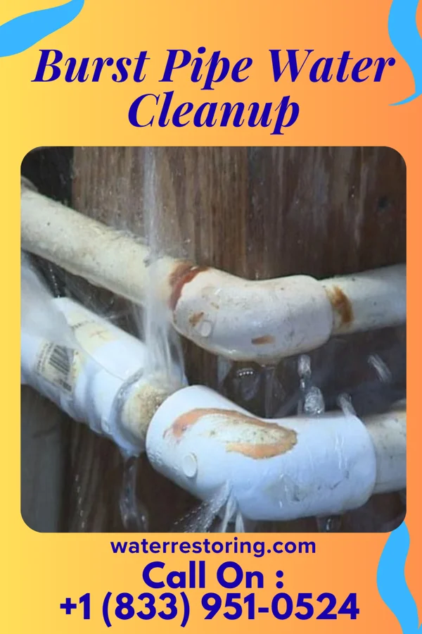 Burst Pipe Water Cleanup in Cassadaga, NY