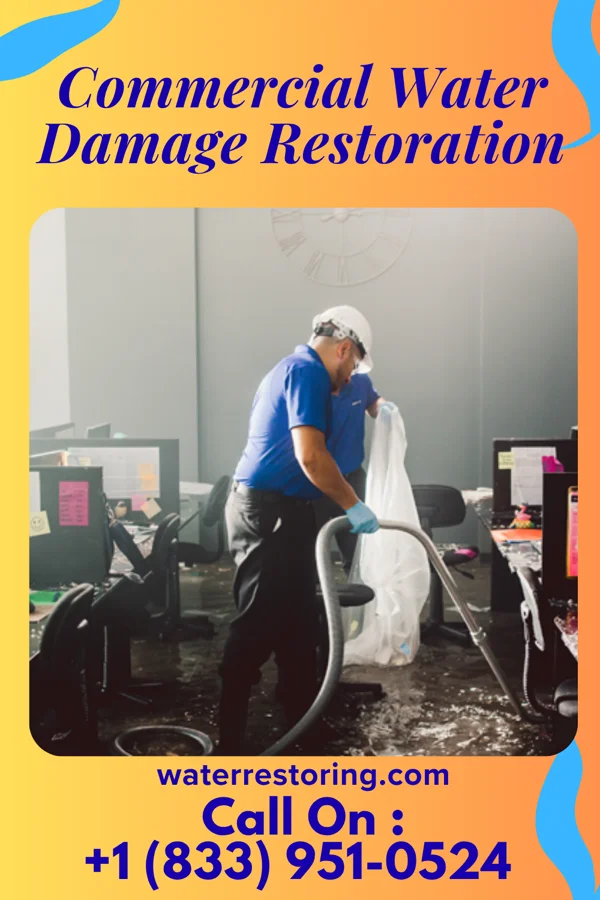 Commercial Water Damage Restoration in Cassadaga, NY