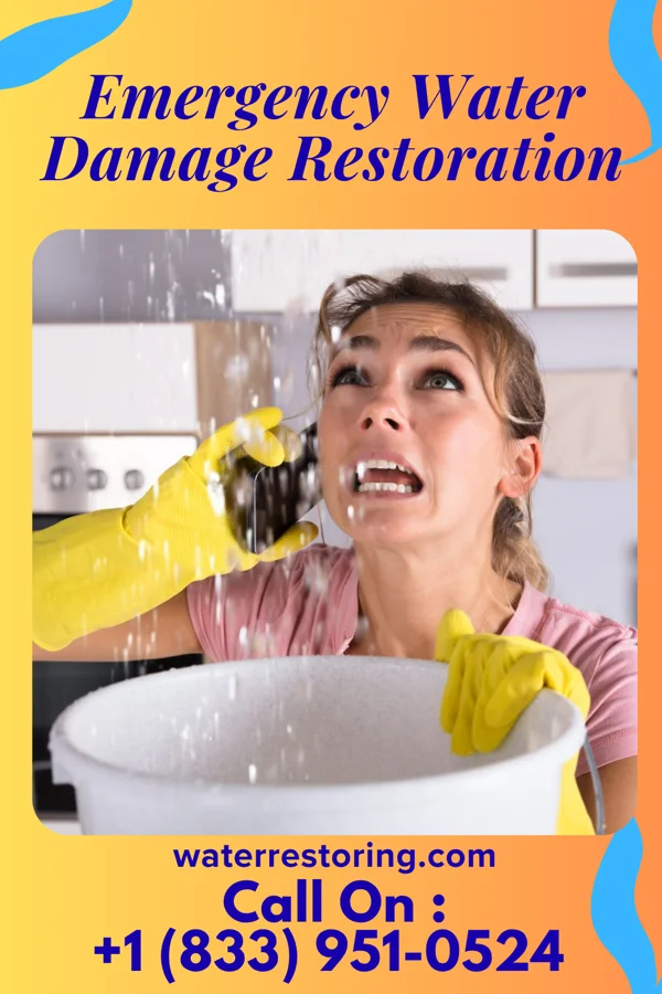 Emergency Water Damage Restoration in Cassadaga, NY