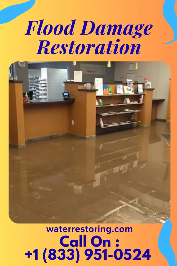 Flood Damage Restoration in Cassadaga, NY