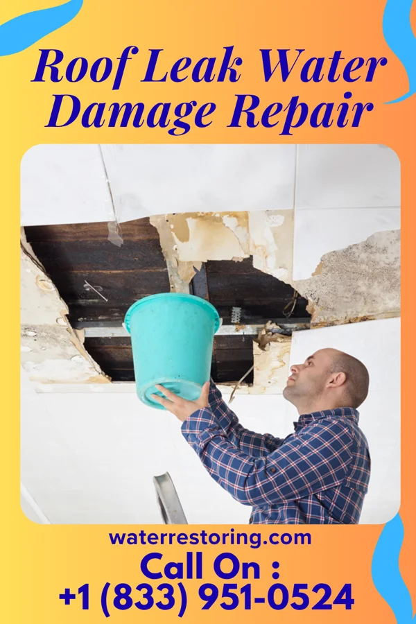 Roof Leak Water Damage Repair in Cassadaga, NY