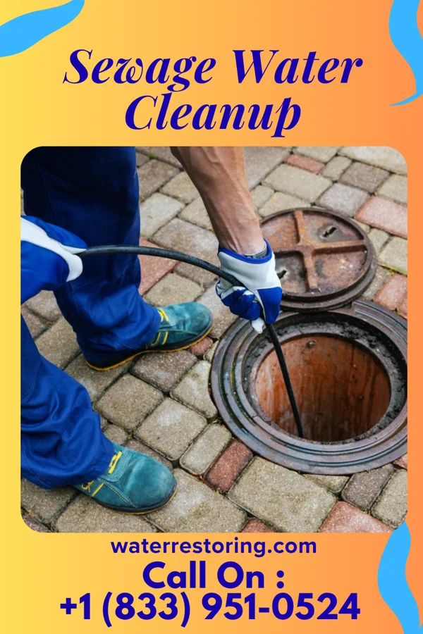 Sewage Water Cleanup in Cassadaga, NY