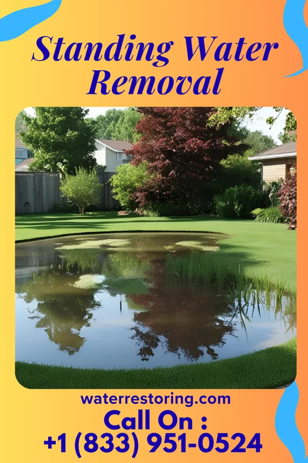 Standing Water Removal in Cassadaga, NY